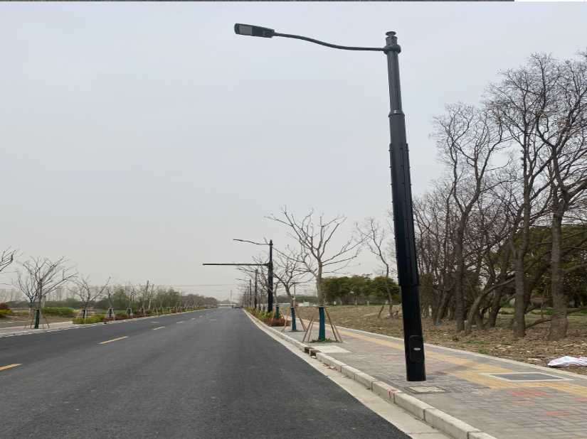 源城区上海综合杆 太阳能路灯工程
